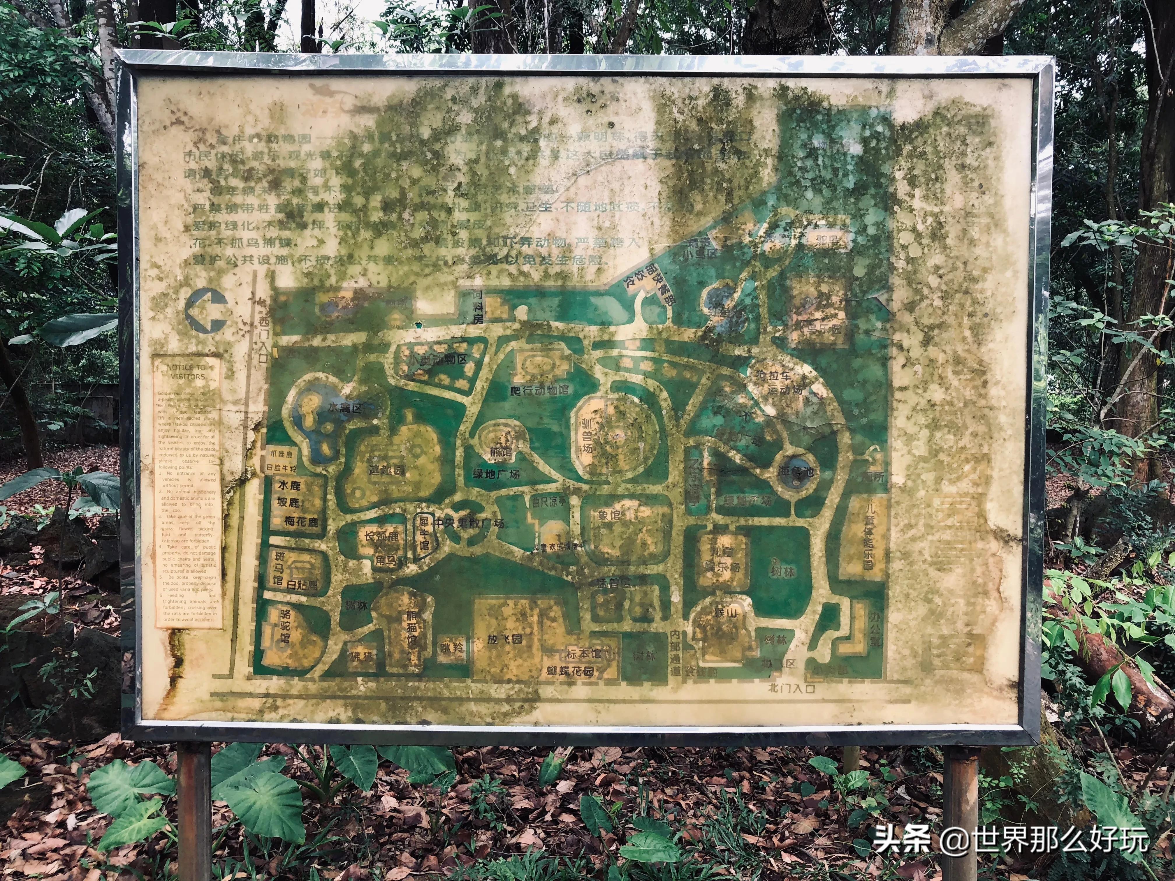 海南金牛岭动物园视频,海口金牛岭公园现在还有动物园吗