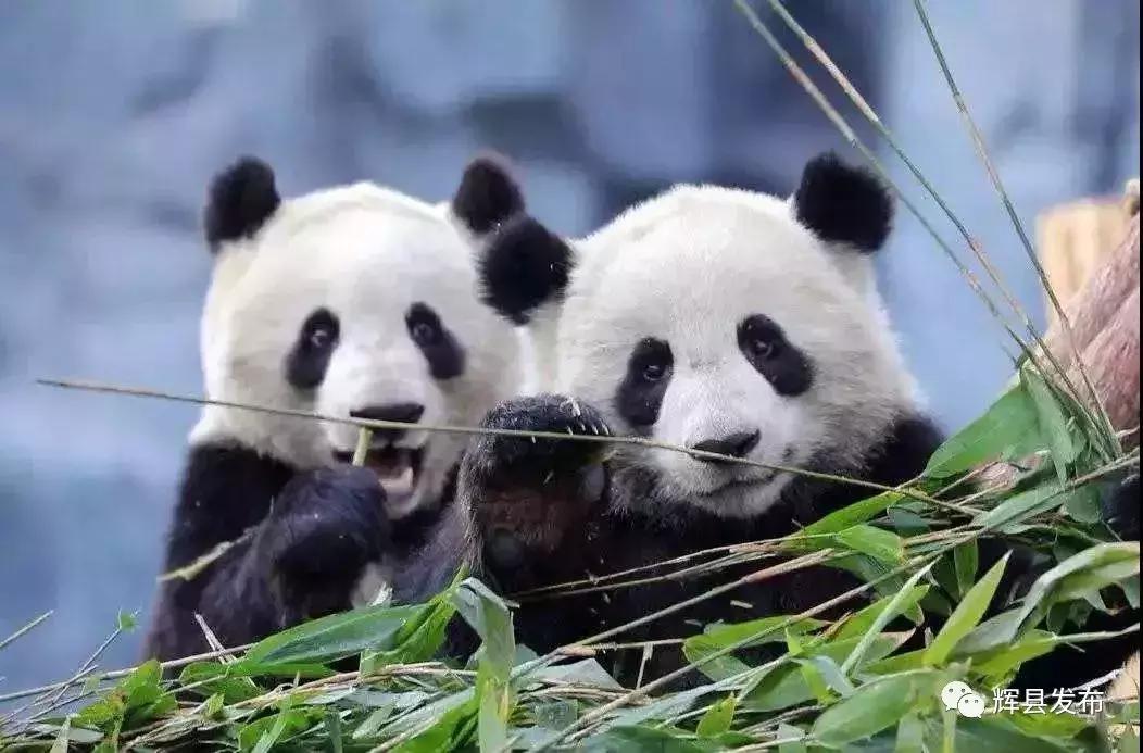 我能想到最美的地方,就是和你牵手走遍辉县的山山水水