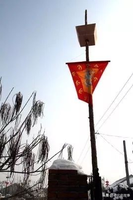 故宫成了动物园,故宫北京动物园