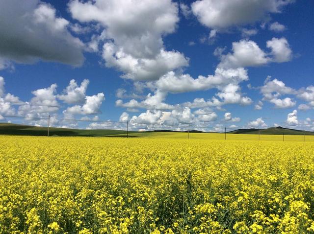 自然之美陶冶人的心灵,用心去感受自然之美