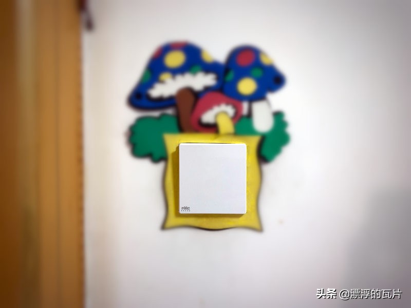 双开双控开关雷士,雷士双开单控开关