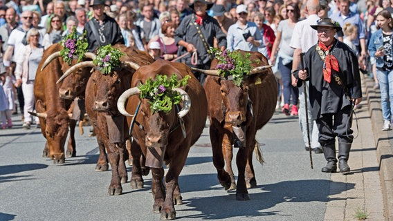 十月份世界各国节日,6月份国外有哪些节日
