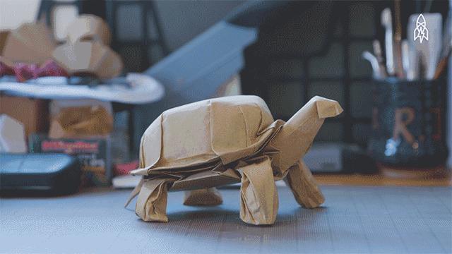 折纸大神的所有折纸,折纸大神教折纸