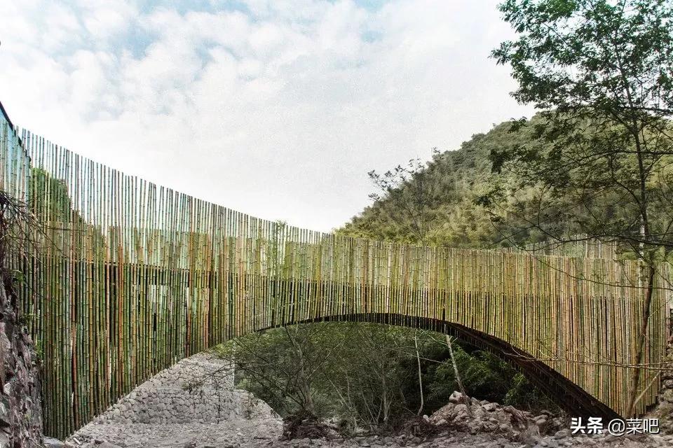 菜吧农庄创意设计,菜吧生态园规划