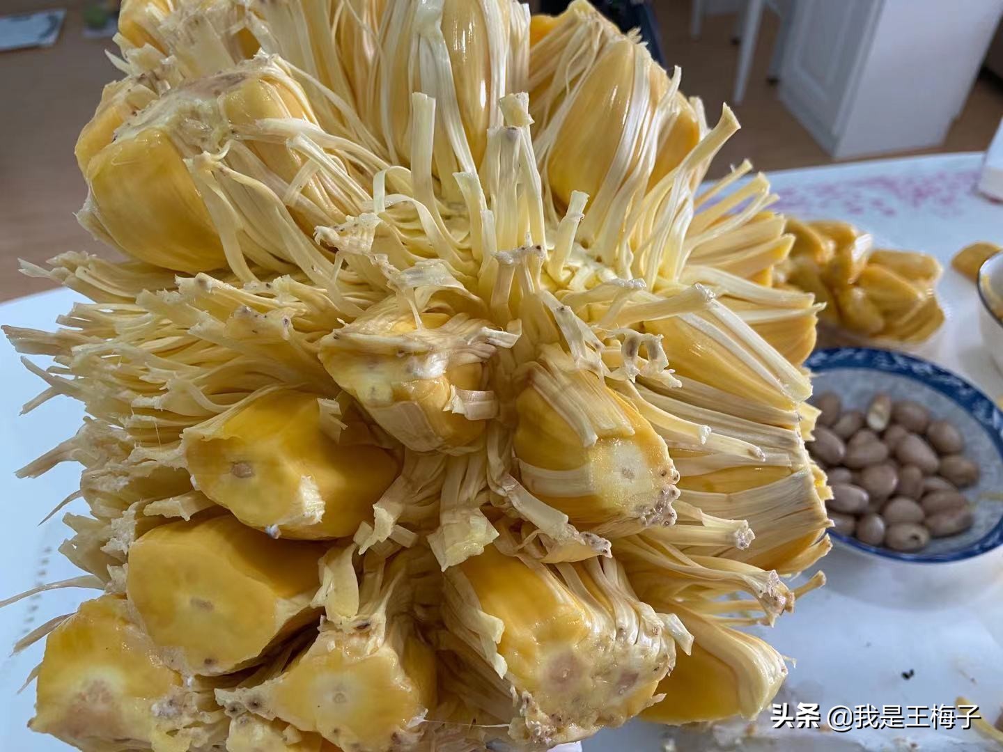 北方人有没有见过菠萝蜜,北方人没见过海南菠萝蜜