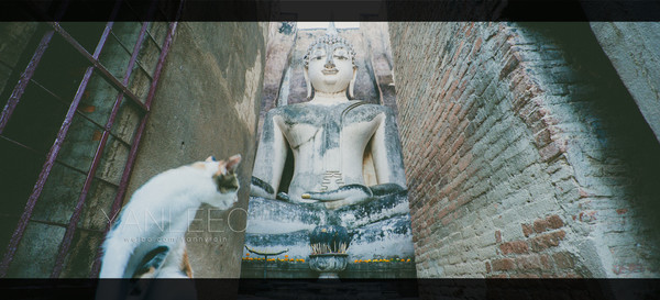 泰旅局发布2019年泰国旅游新玩法,曼谷漫游攻略