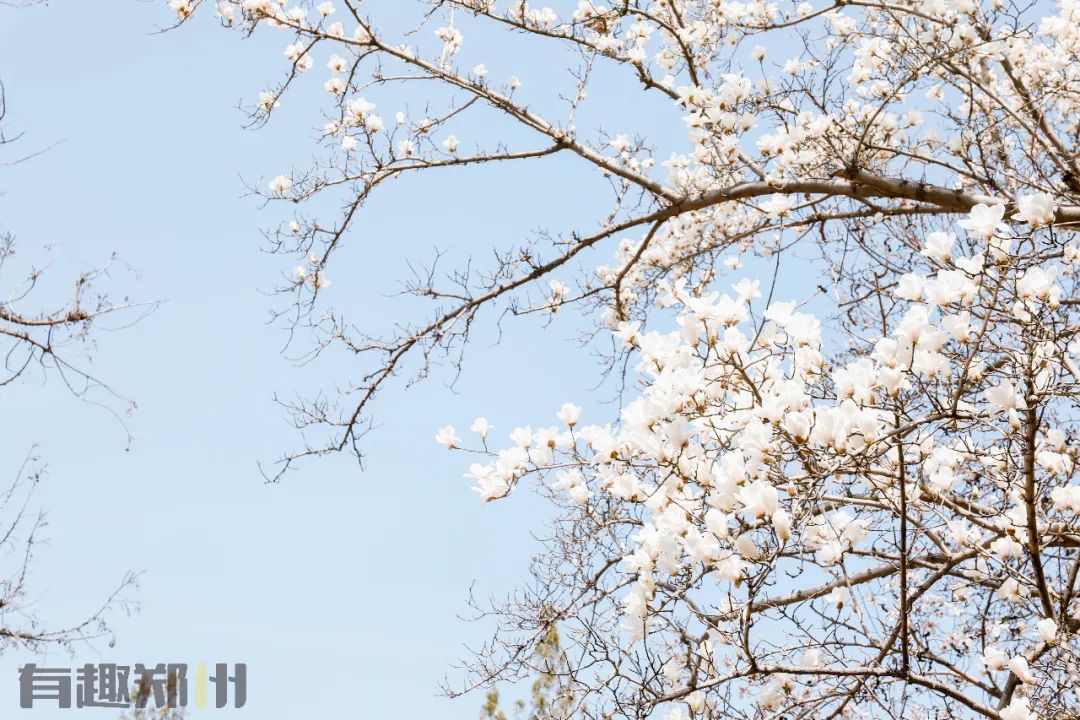 恢复堂食第一天餐厅,郑州恢复堂食的第一天