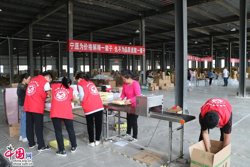 内黄县乡镇扶贫项目,大力支持扶贫电商方案