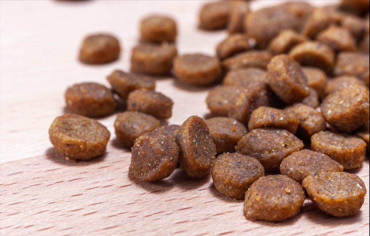 比熊吃鸡肉狗粮还是鸭肉狗粮好,比熊狗粮测评排行榜前十名