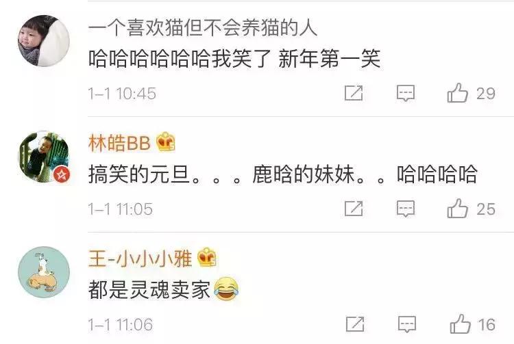 电商法新修订代购,电商法代购