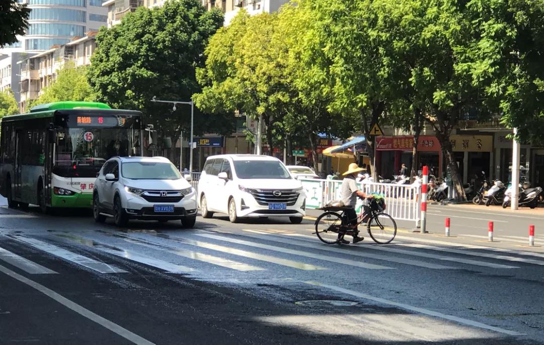 肇庆斑马线,肇庆斑马线前让行视频