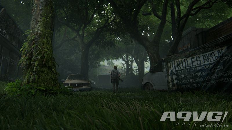 最后生还者2被国外玩家评价,最后生还者2重制典藏版