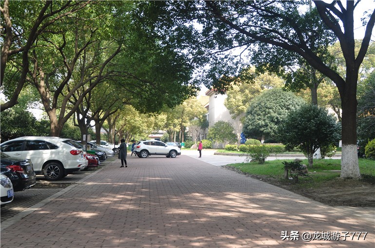 重游天一度假村,重游旧地去哪玩