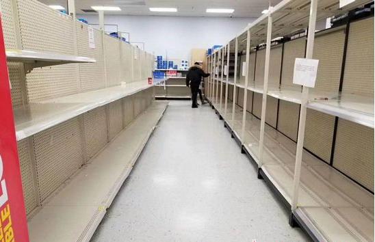 临沂人海外战疫｜加拿大周子倩：求职季，20份简历石沉大海