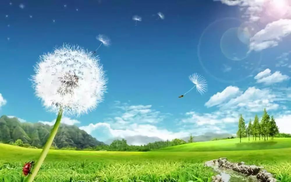 北医三院蒲公英有亮点，银屑病患友涨知识得福利，就在周日下午