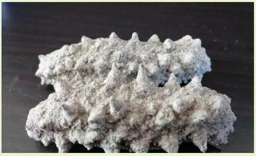 什么样的海参是比较好的海鲜,什么样的海参质量好有养分