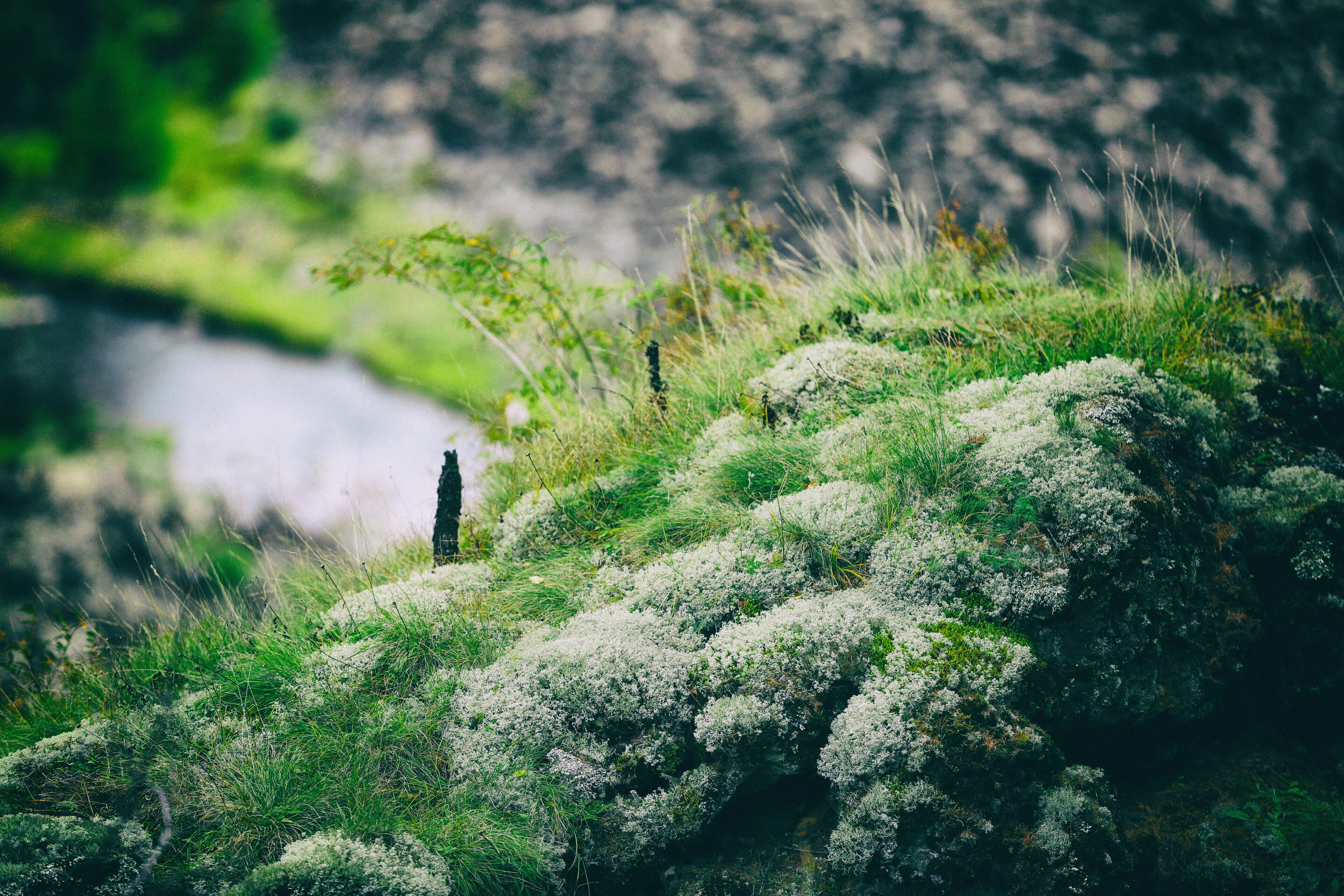 东北游记攻略,东北游记最新视频