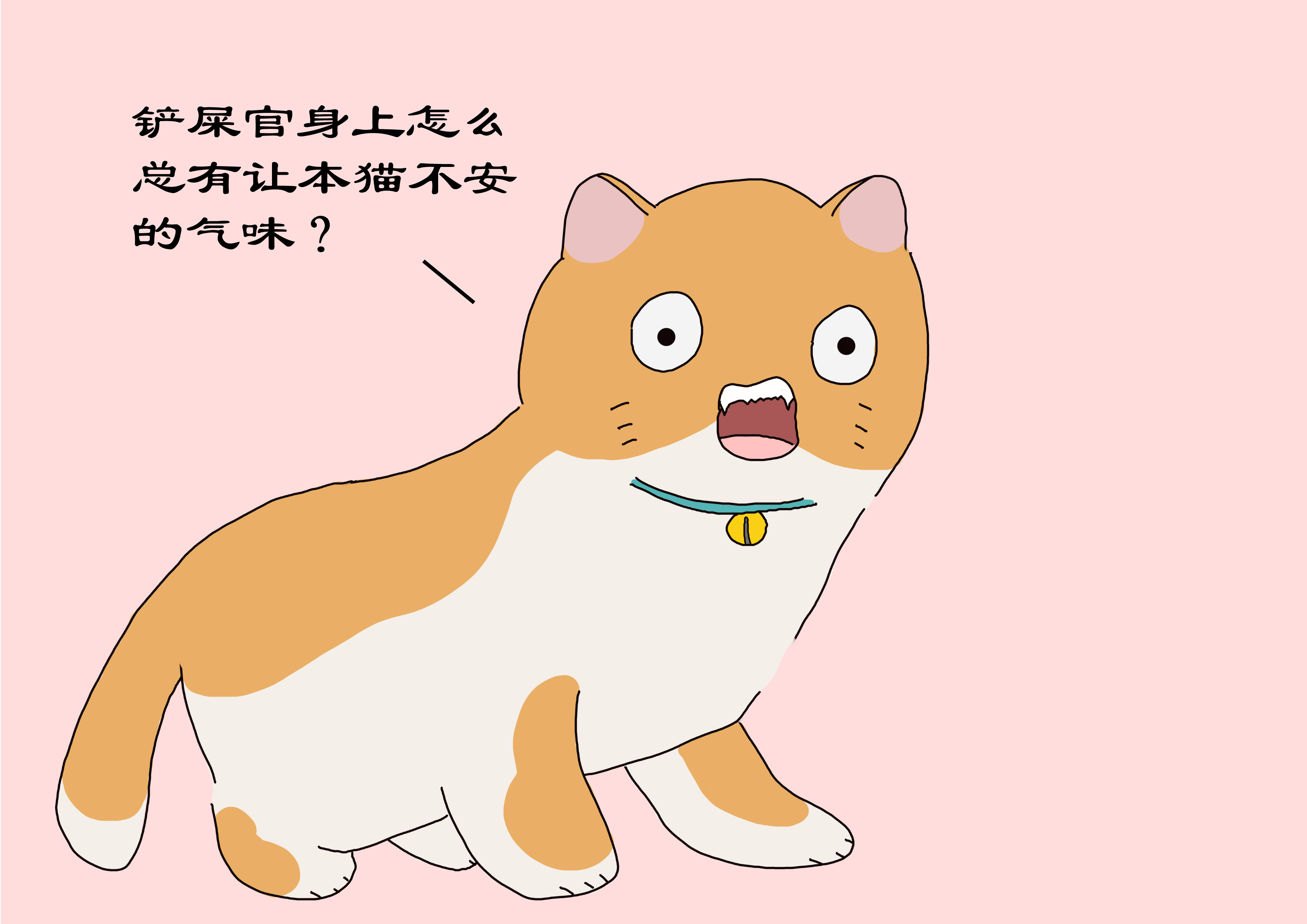 长期养的猫躲起来几天才出来,长时间养的猫为什么不回家了