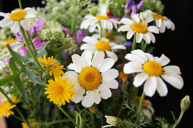 她做保姆这些年-豪门生活之暗流汹涌(七)
