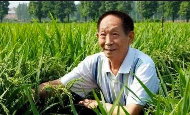 袁老的催泪事迹,袁老的感人事迹