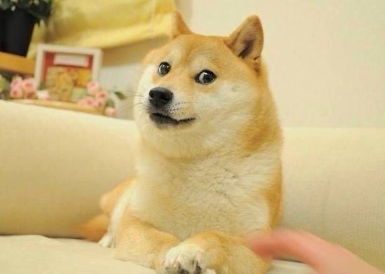 卧龙电驱集团总裁,卧龙电驱股份股票