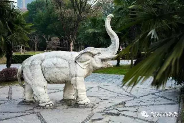 武汉攻略地铁,武汉高铁游最强攻略