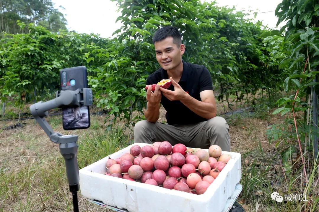 直播卖水果一年收入几百万,直播卖水果一年200万