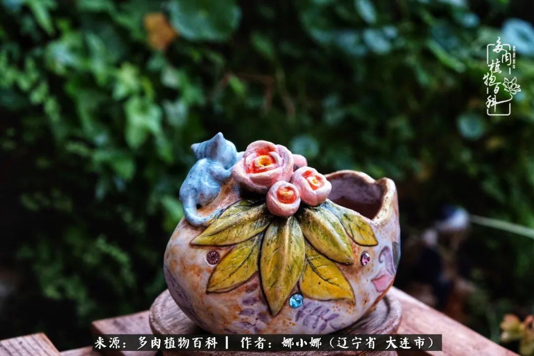 你是盆我是花，你护我周全，我为你绽放