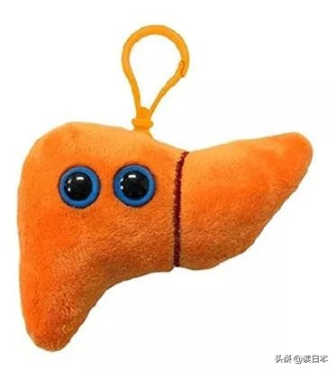 日本开始贩卖“内脏”？如此可爱的*体器人官**钥匙扣，你敢带吗？