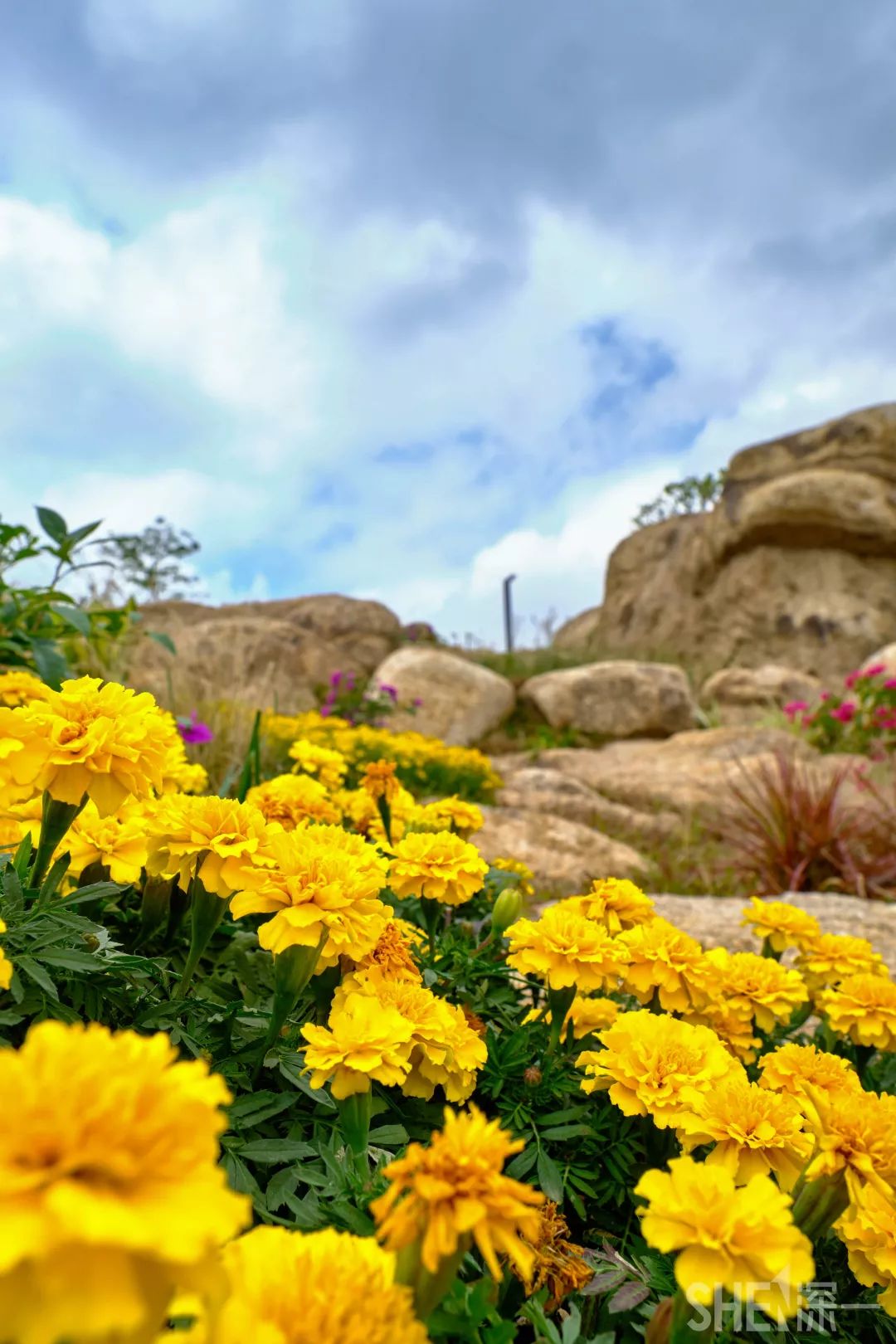 深圳网红公园地铁站,深圳地铁最近有什么公园