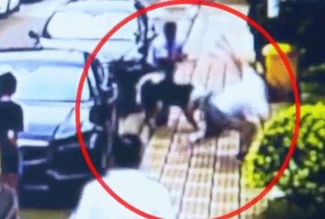 紧急提醒一周接诊超500例,已进入秋冬季呼吸道传染病高发季