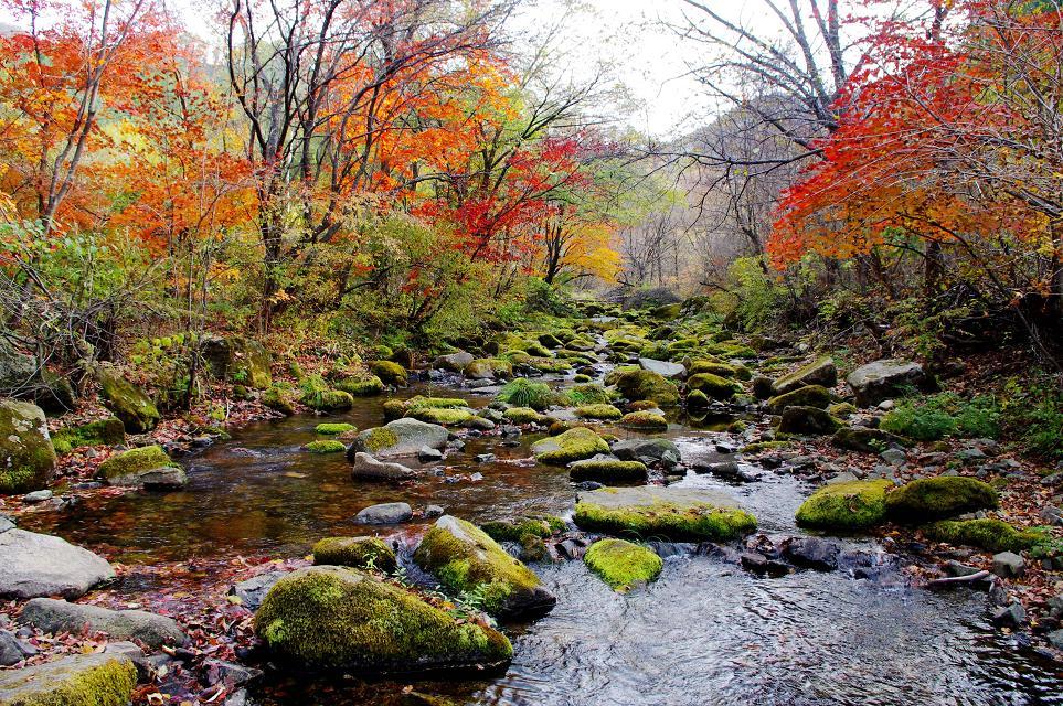 十一沿途风景,十一去红叶谷的景致