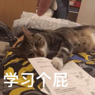 小学差生30天逆袭学霸计划表,4年级差生逆袭学霸计划表