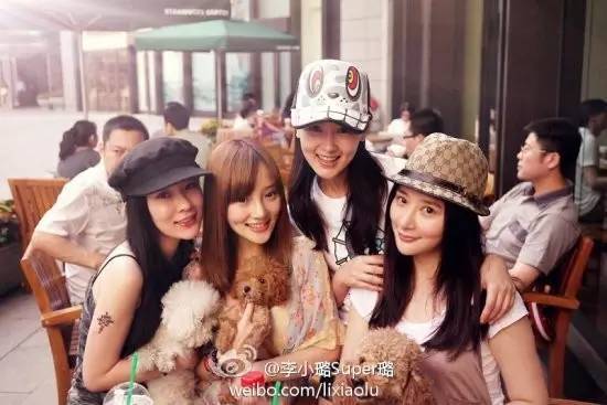 泰迪姐妹团消亡史刘芸篇,泰迪姐妹团消亡史