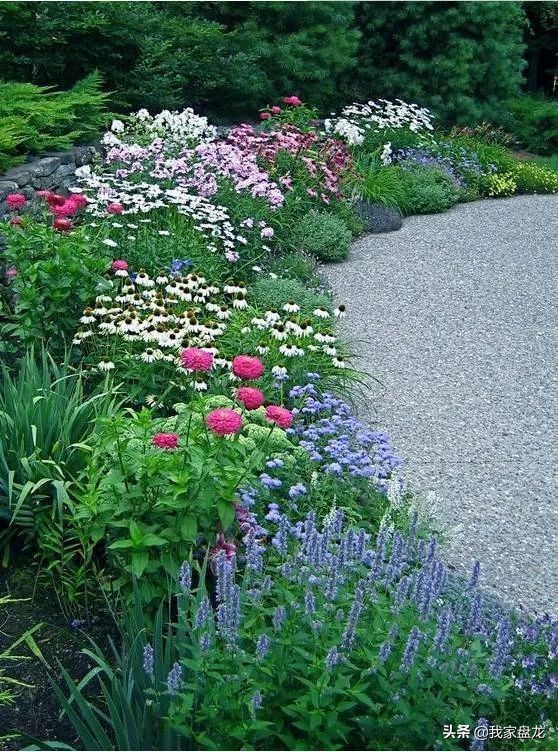 这种乱七八糟滴栽花方式,到底是不是园丁出了问题?