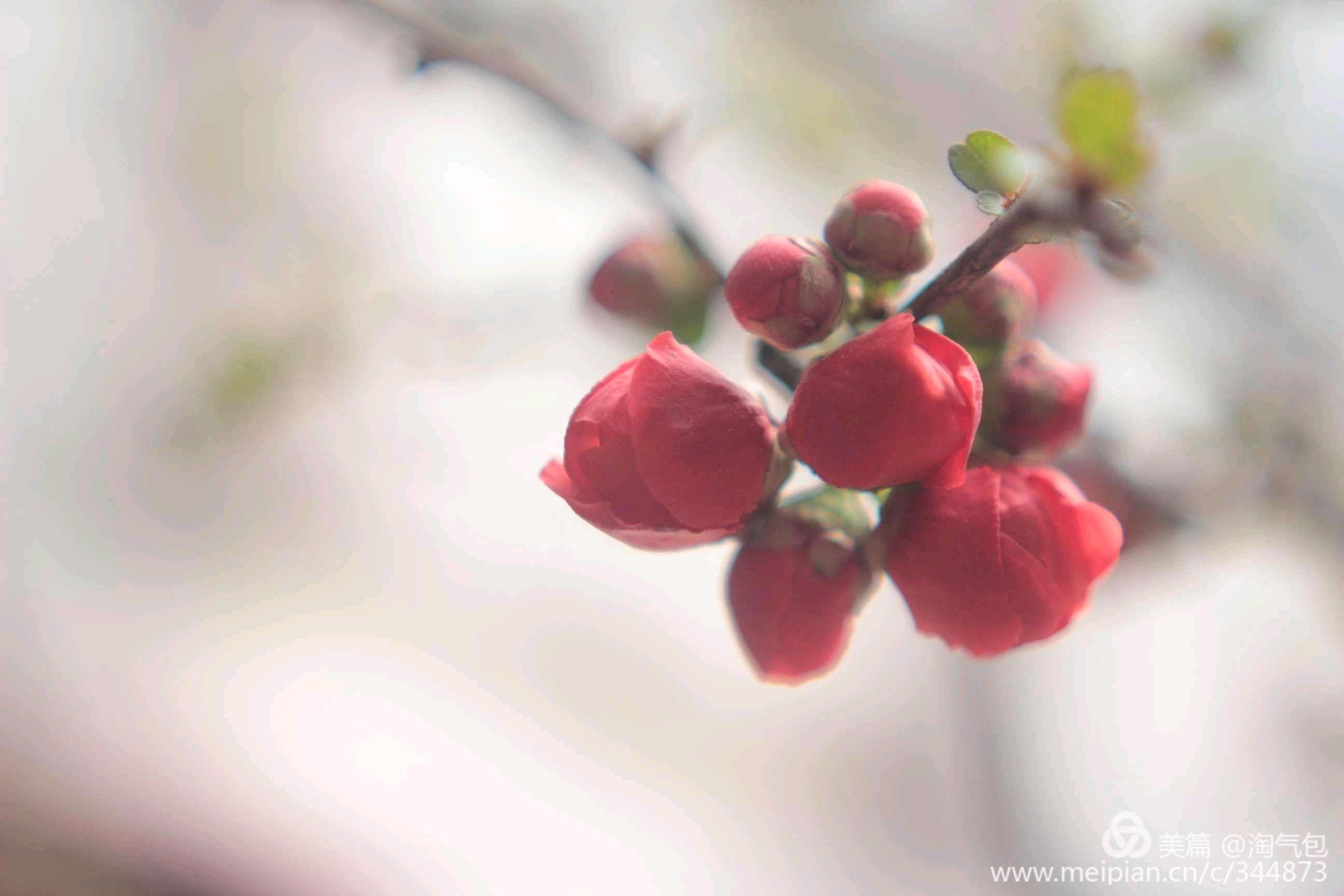 高情商的人如何解决心理难题,放下烦恼和焦虑让心回归平和