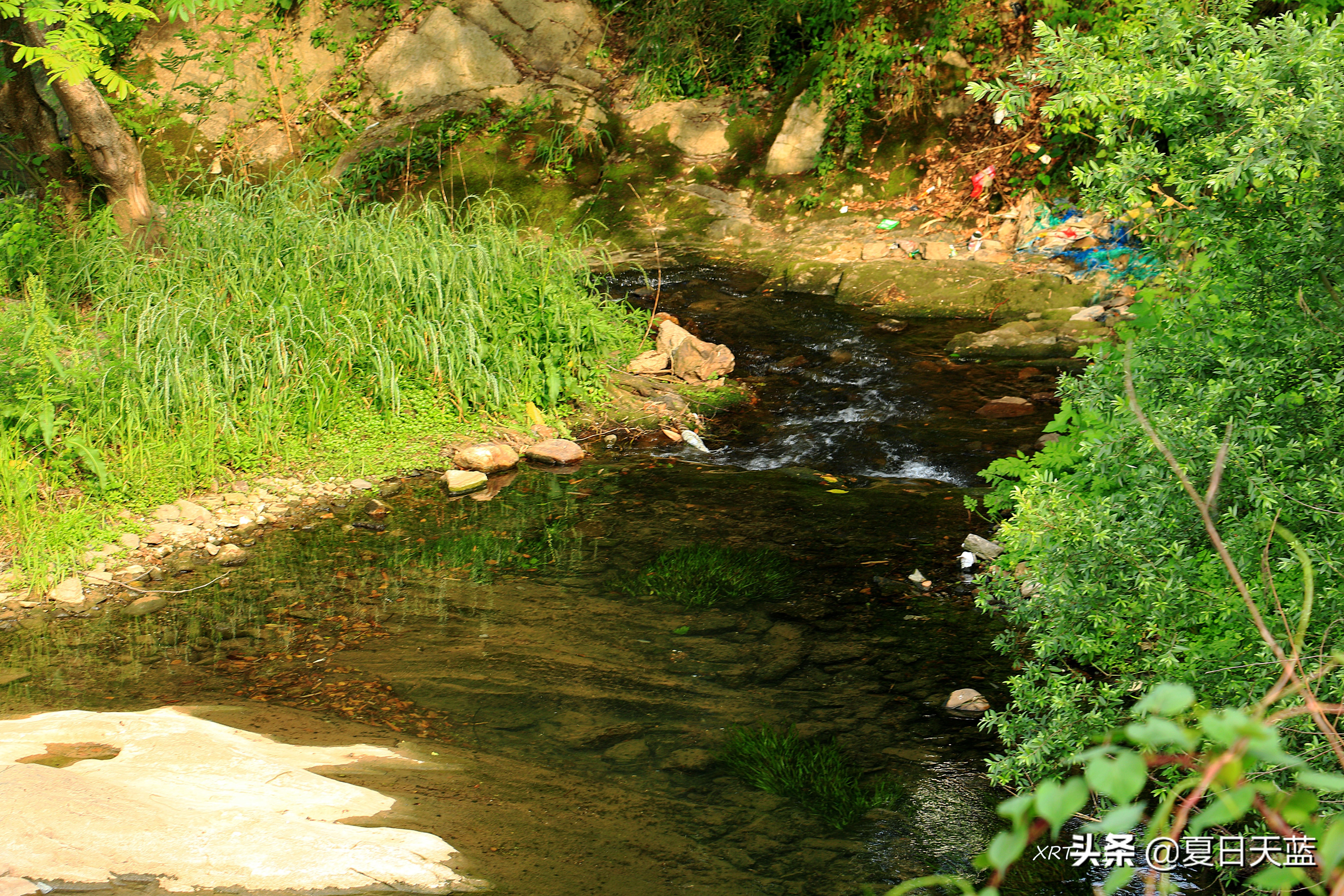 李白在桃花潭写的千古名句,桃花潭因李白而出名的诗句