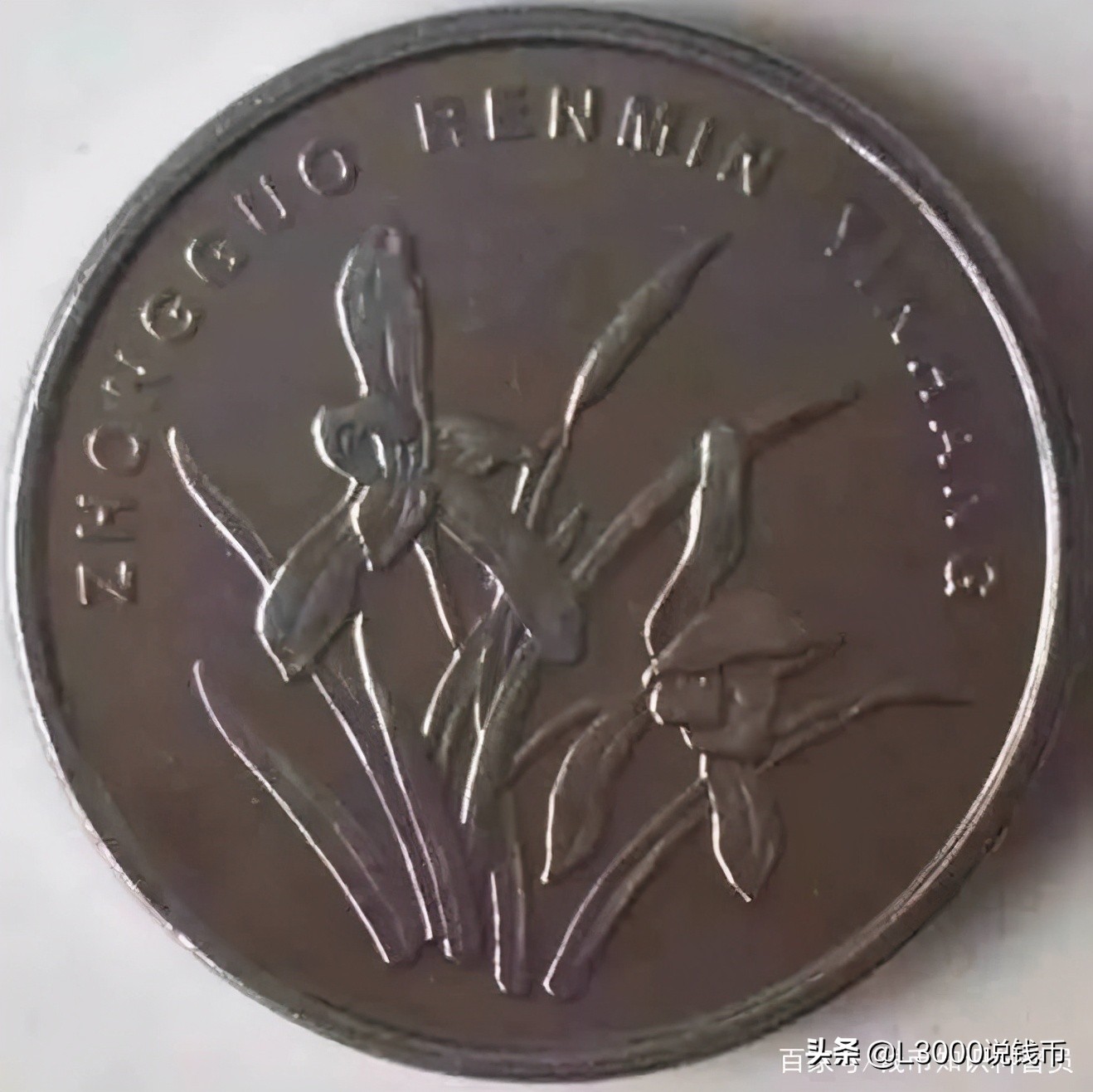 第十次花博会会花,花博会景点有哪些花展