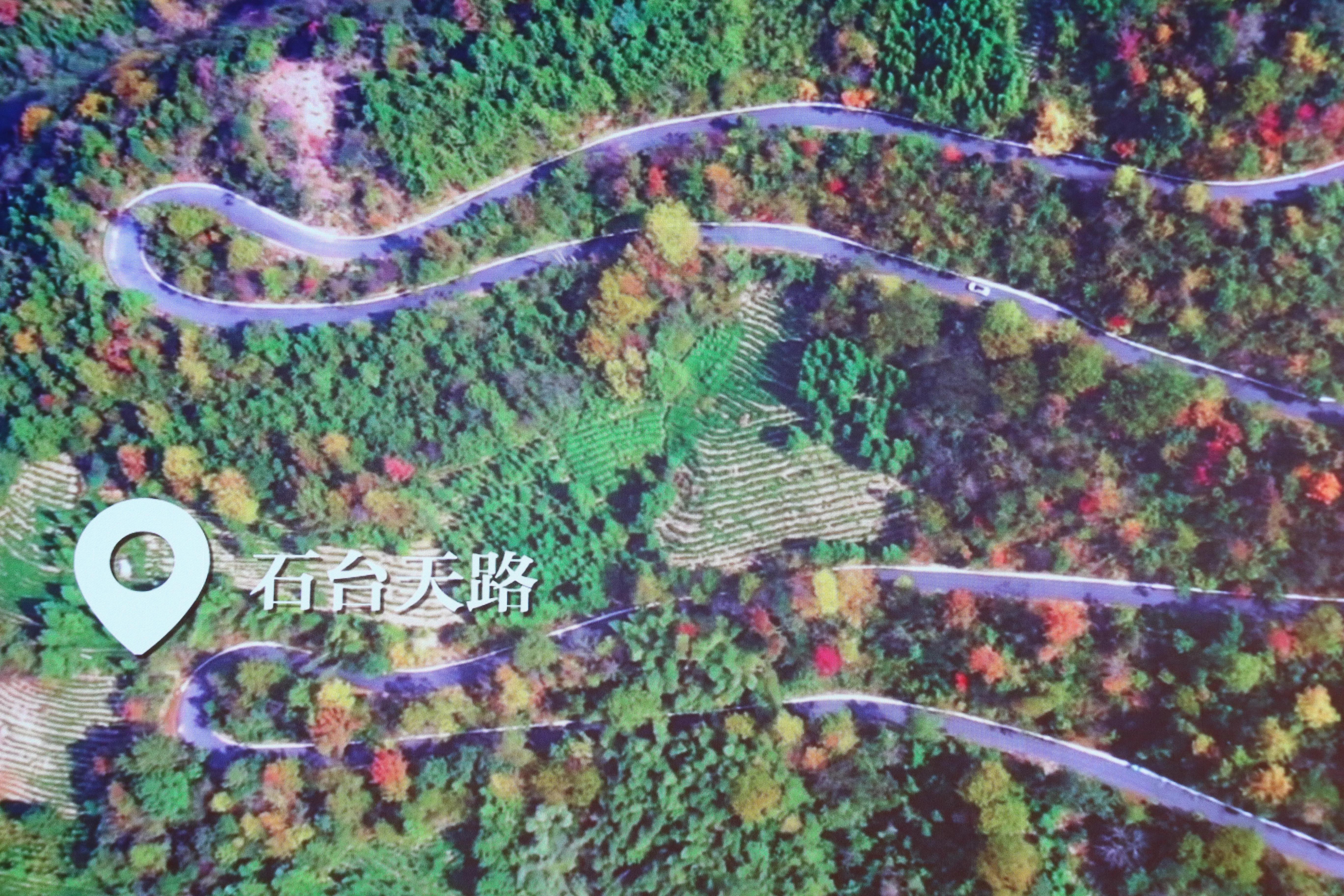 池州十大网红打卡点,池州免费网红景点打卡