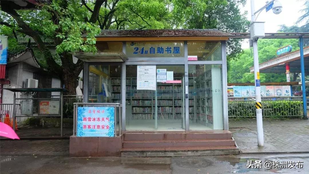 春日大自然美景视频,春日公园游玩美图视频