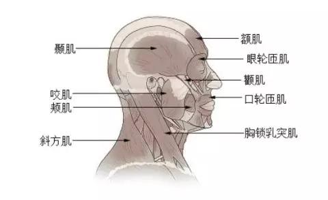 不注意细节的女生是什么样子,太注意细节的女孩和不成熟的男生