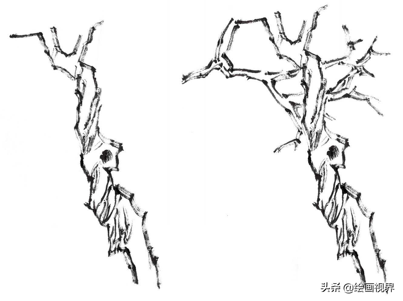 国画双钩树的画法入门,国画杂树与山石的画法图片