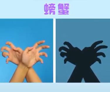 宝宝睡前玩的手影游戏,儿童手脑协调游戏