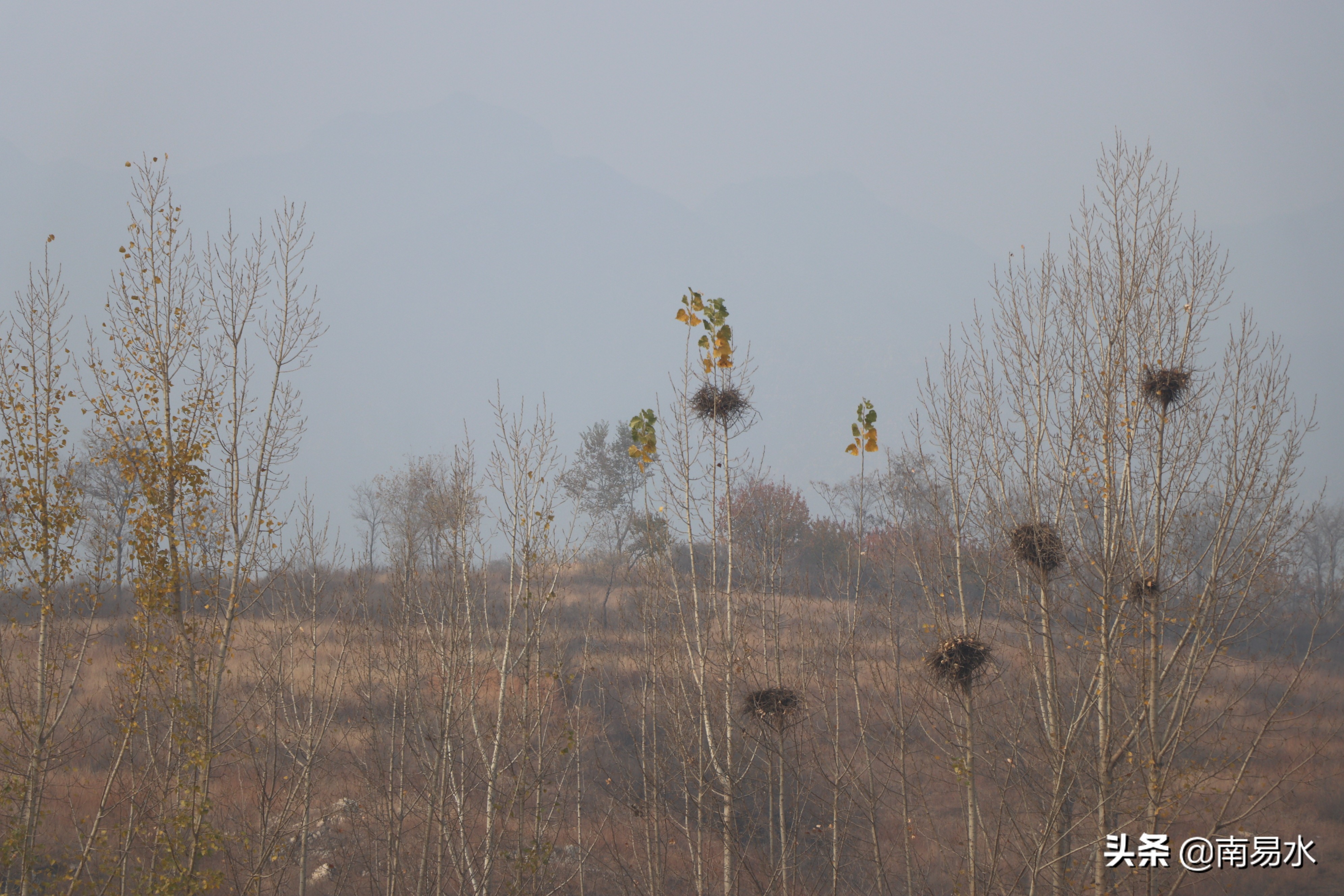 家乡风景带你一起感受自然的味道,令你难以忘怀的家乡的味道