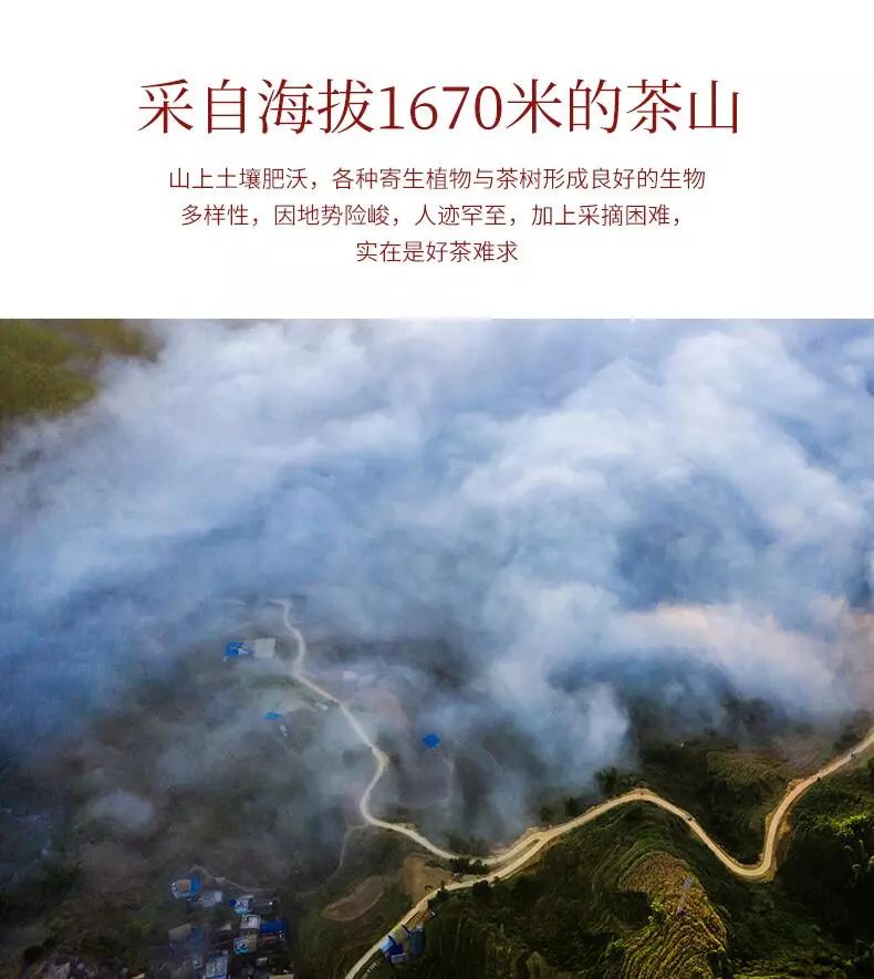 不一样厦门茶博会,厦门茶博会