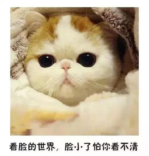 拯救秃头、脸圆、脸大少女，你离韩剧女主只差一个发型的距离