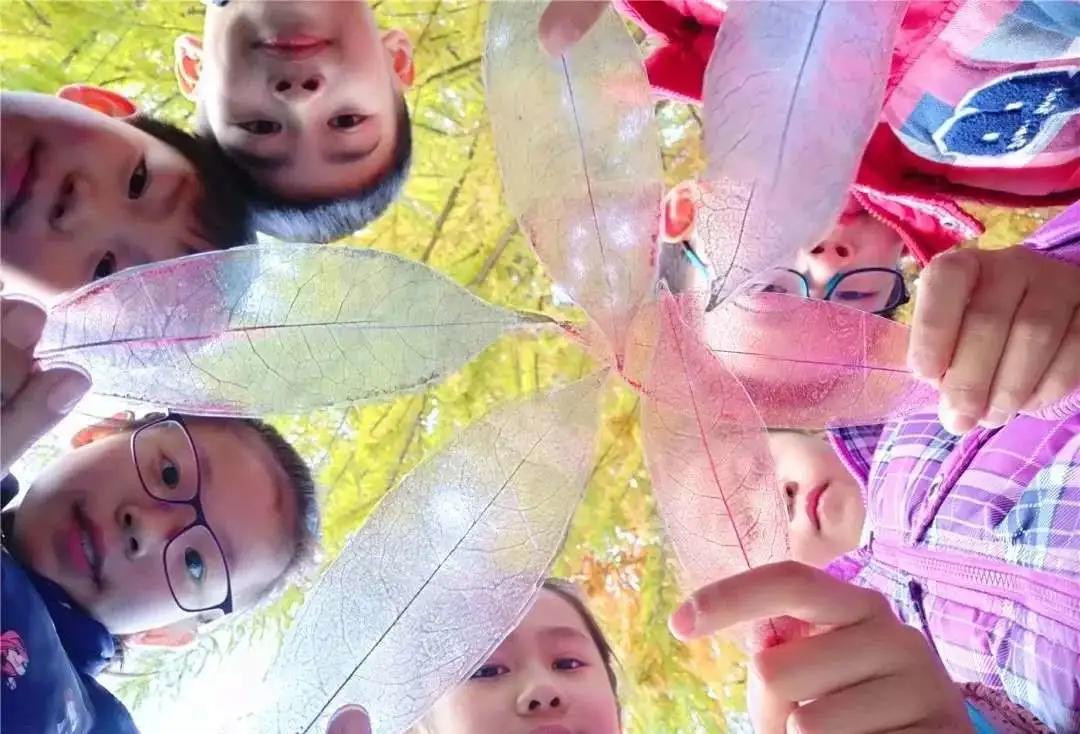 「北社向阳实验室」DIY叶脉书签,探索叶子的秘密,一