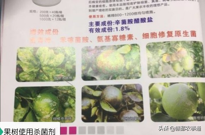 果树蔬菜杀螨杀虫剂,国内首家登记杀虫剂杀菌剂杀螨剂