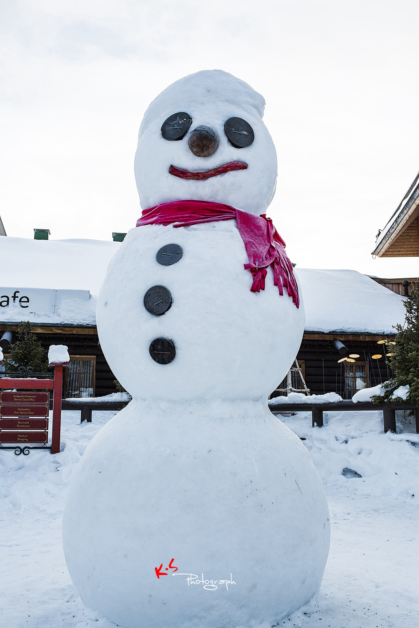 果小姐的慢生活烤鸡腿,果小姐的慢生活泰州