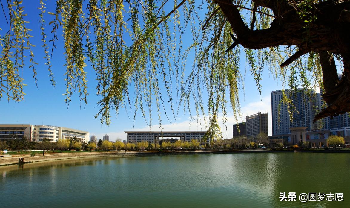 山东大学在全国985大学的排名,山东大学没落了吗